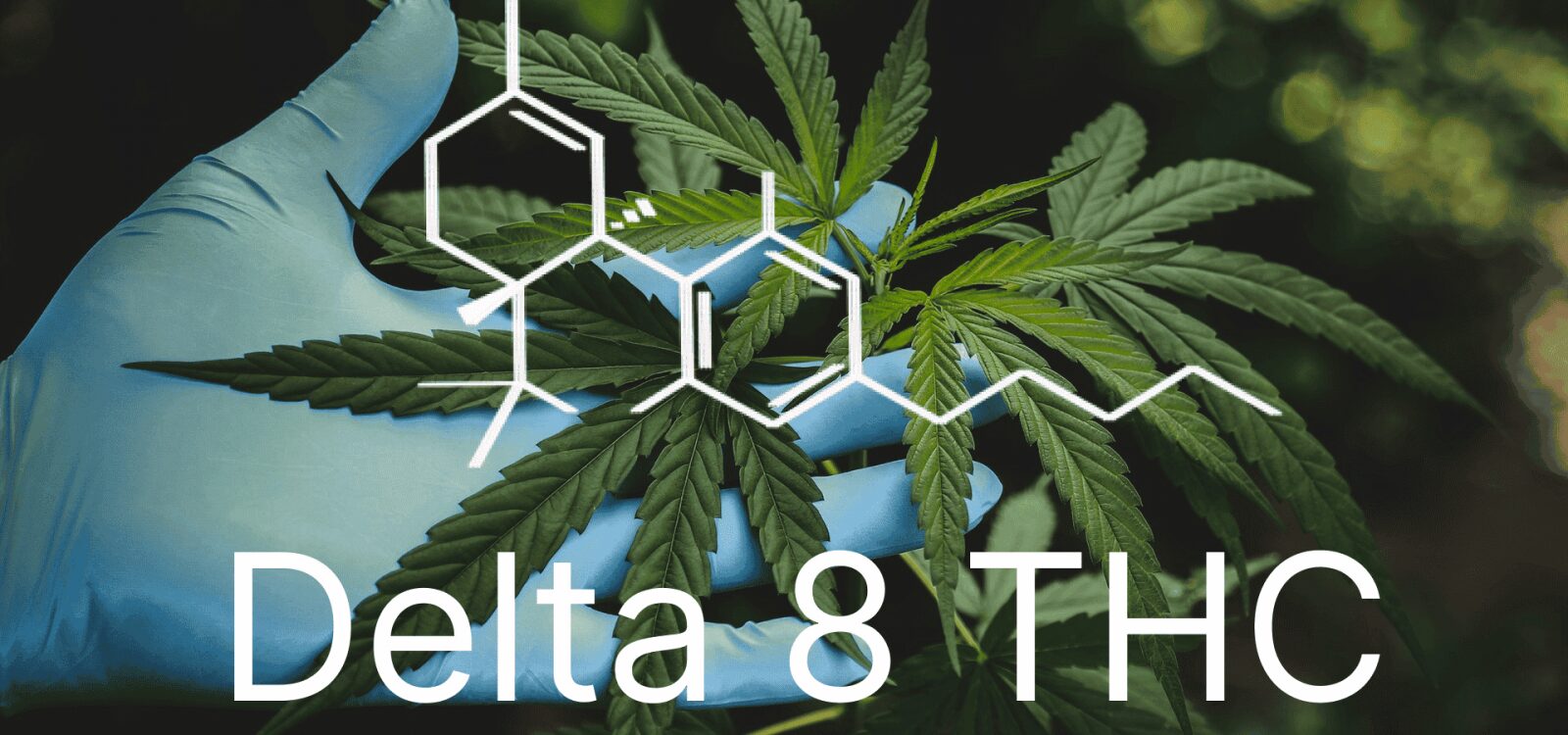 Delta 8 THC