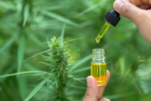 CBD Oil Products